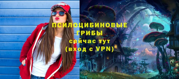spice Алексеевка