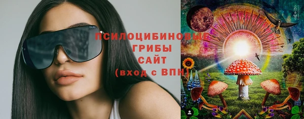 тгк Алексин