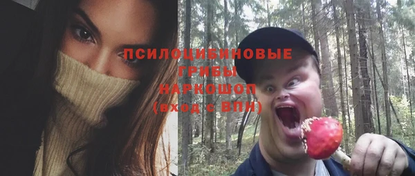 spice Алексеевка