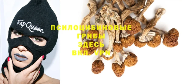 альфа пвп Семикаракорск