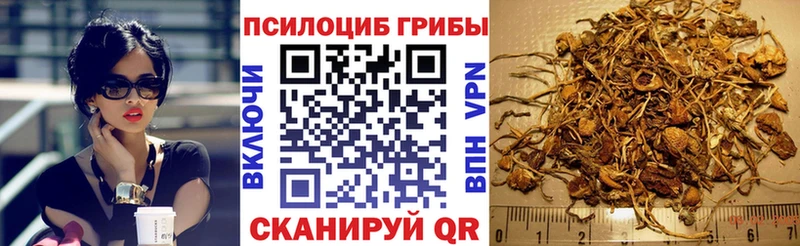 ссылка на мегу рабочий сайт  Саров  Псилоцибиновые грибы мицелий 